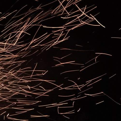 Photo #6448032