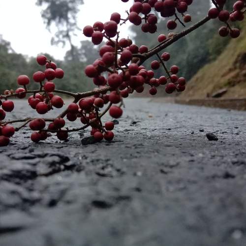 Photo #6448034