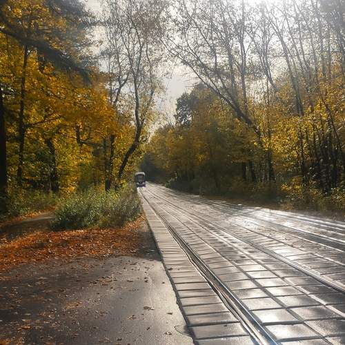 Photo #6448115