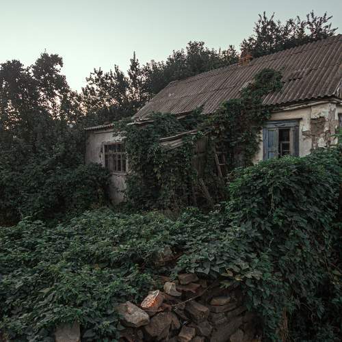Photo #6449182
