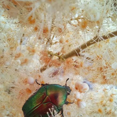 Photo #6449233