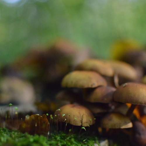 Photo #6449748