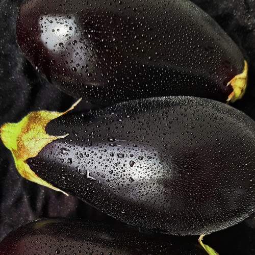 Photo #6450009