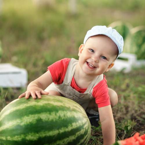 Photo #6450311