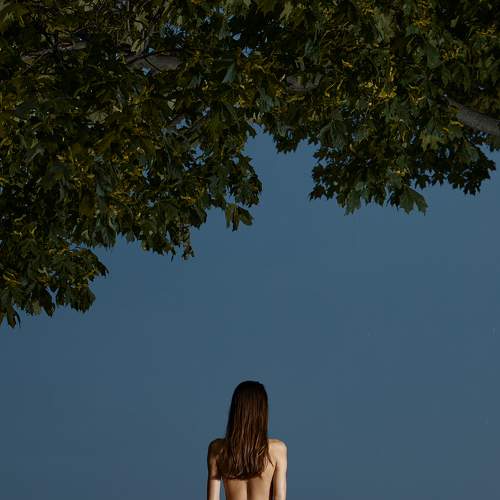 Photo #6450313