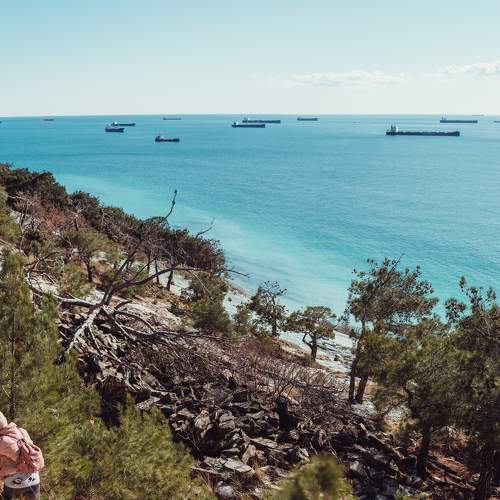 Photo #6450414