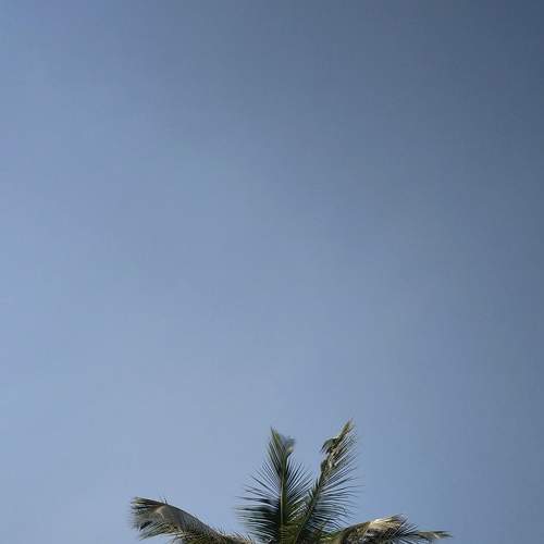 Photo #6450936