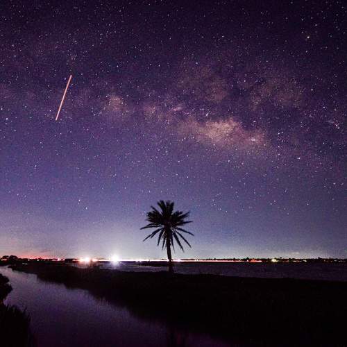 Photo #6451056