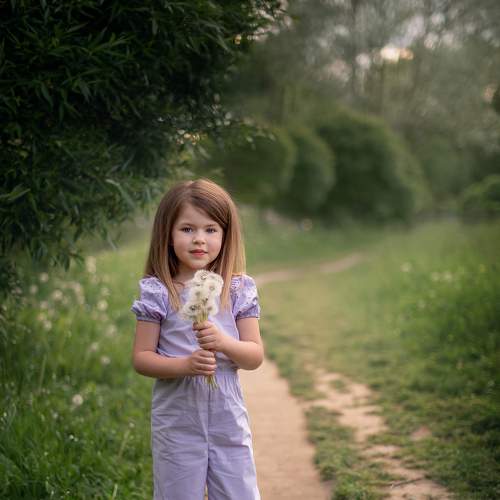 Photo #6451084