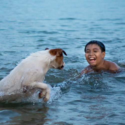 Photo #6451293