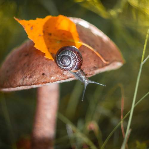 Photo #6451417