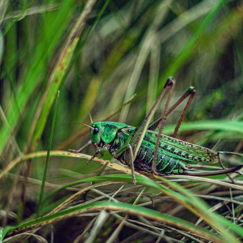 Photo #6451438