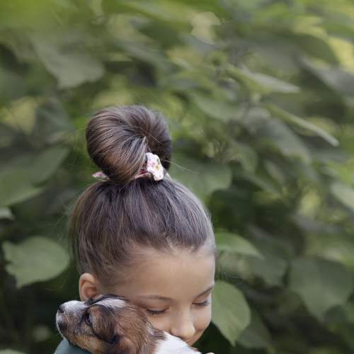 Photo #6451546