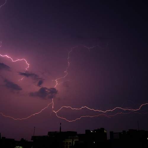 Photo #6451658