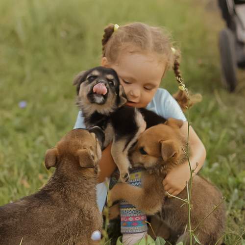 Photo #6451752