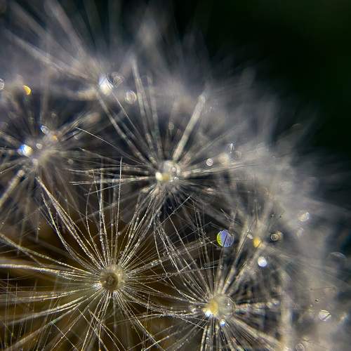 Photo #6451774