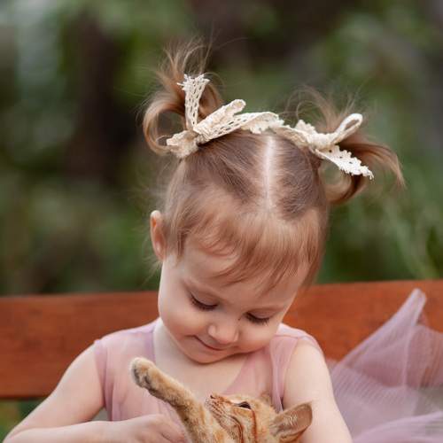 Photo #6451840