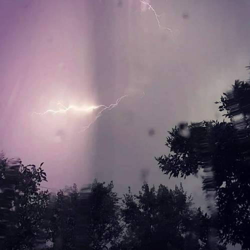 Photo #6452072