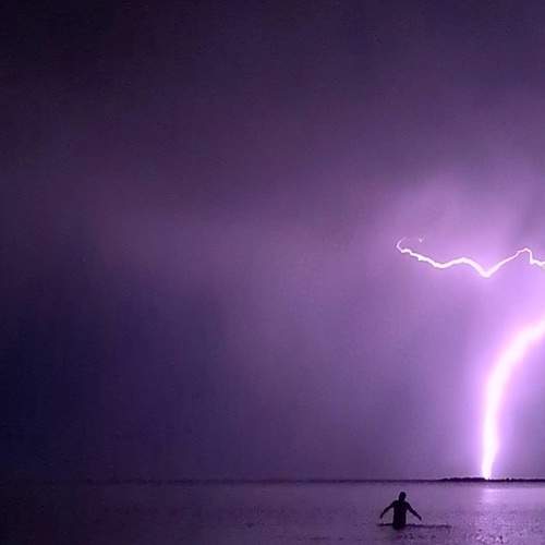 Photo #6452115