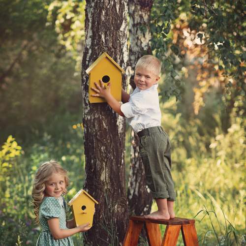 Photo #6452239