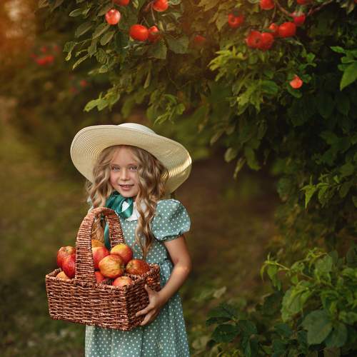 Photo #6452241