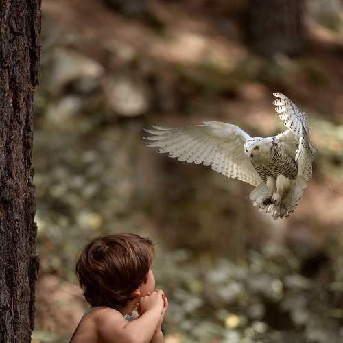 Photo #6452256