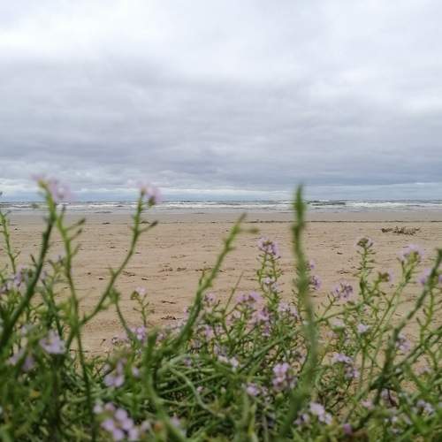 Photo #6452325