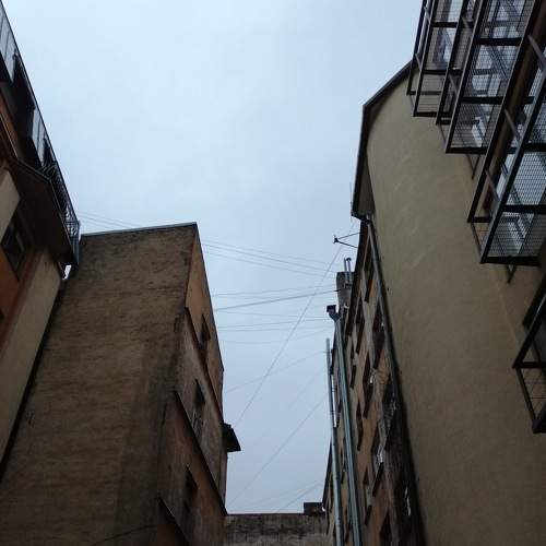 Photo #6452344