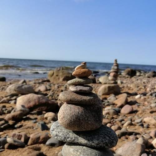 Photo #6452353