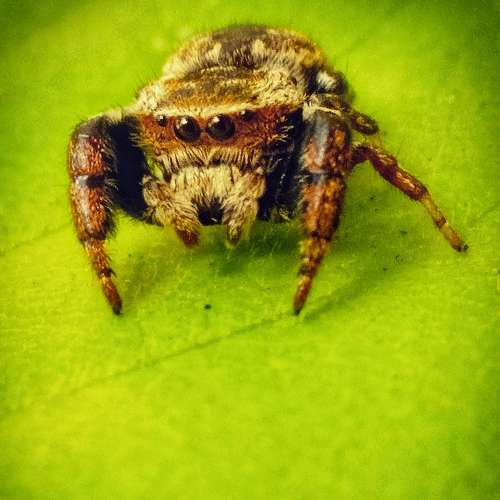 Photo #6452824