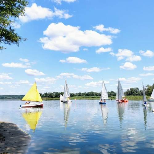 Photo #6453035