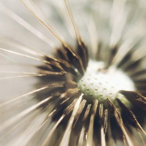 Photo #6453053