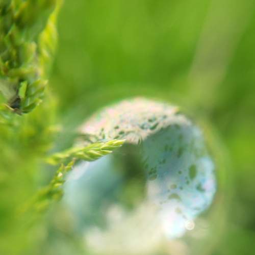 Photo #6453055