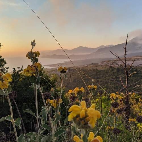 Photo #6453312