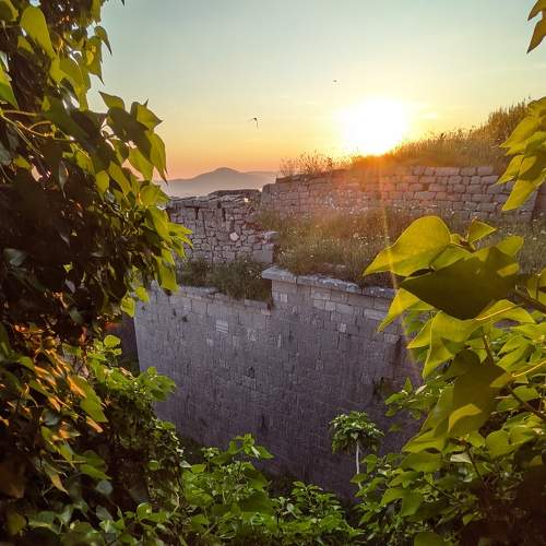 Photo #6453317