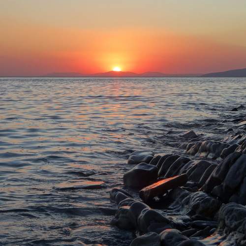 Photo #6453399
