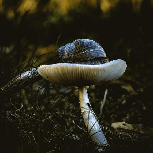 Photo #6453496