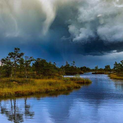 Photo #6453526