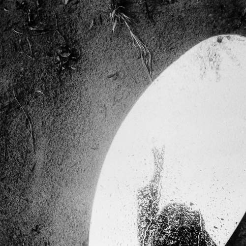 Photo #6453970