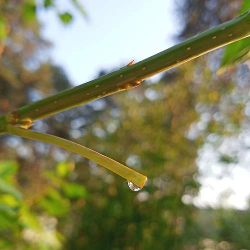 Photo #6454268