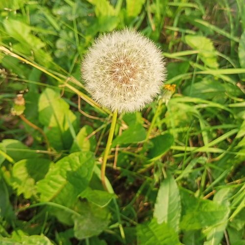 Photo #6454269