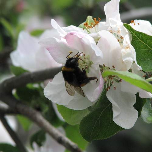 Springtime