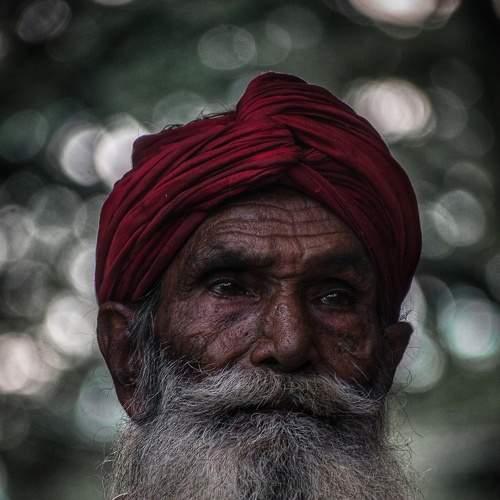 Photo #6455327