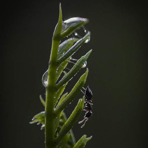 Photo #6455472