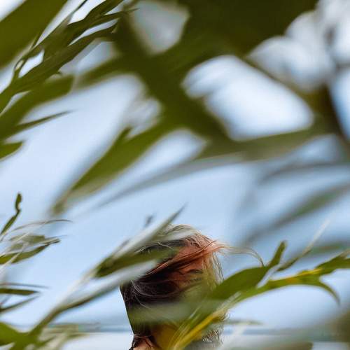 Photo #6455584