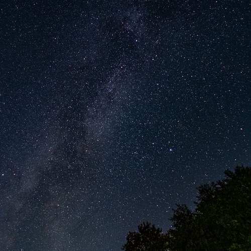 Photo #6455687