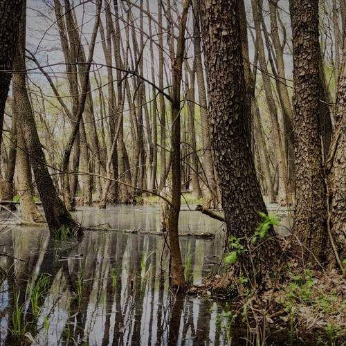Photo #6455705
