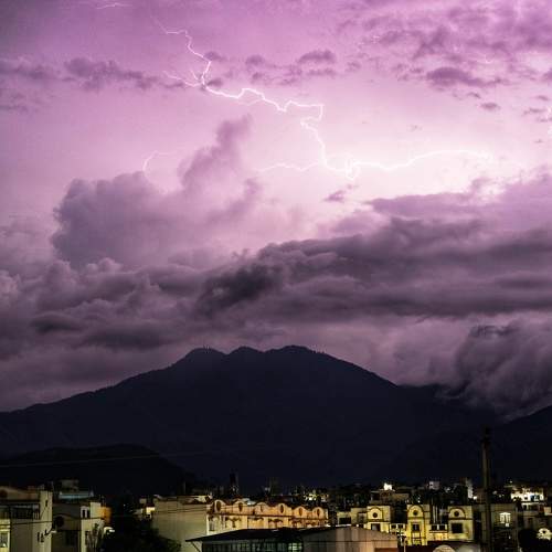 Photo #6455739