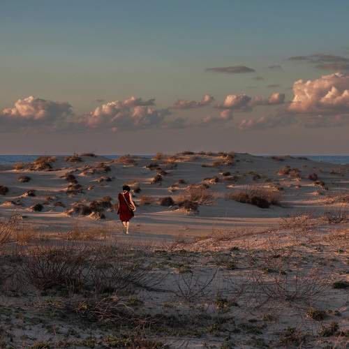 Photo #6456098