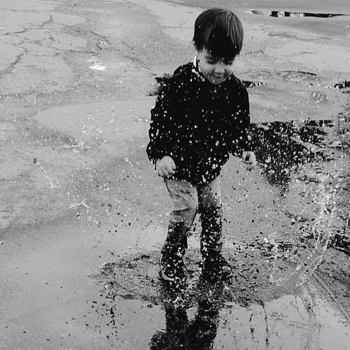 Photo #6456236